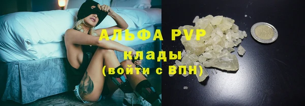 дмт Арсеньев