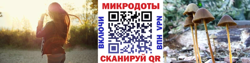 Псилоцибиновые грибы Cubensis  Саянск 