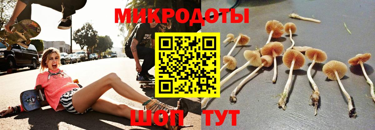 Псилоцибиновые грибы мухоморы  Вход с VPN  Саянск 