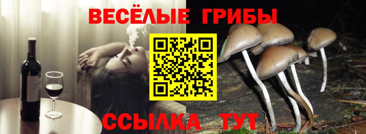 Псилоцибиновые грибы прущие грибы Саянск